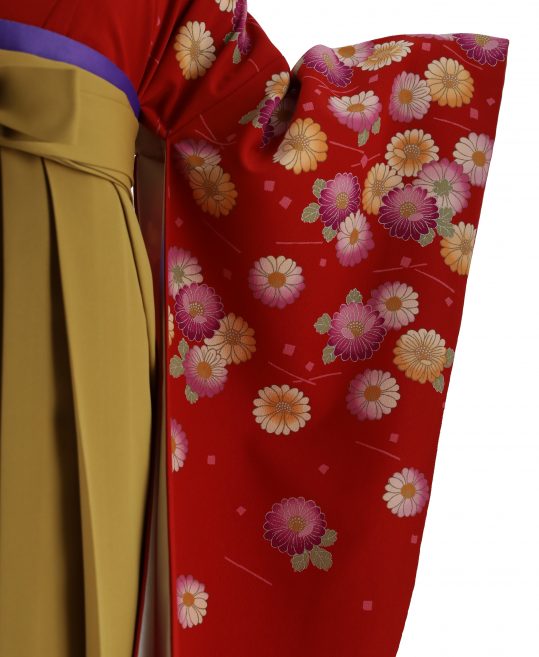 卒業式袴レンタルNo.558[2Lサイズ][シンプル]赤・オレンジ紫の菊